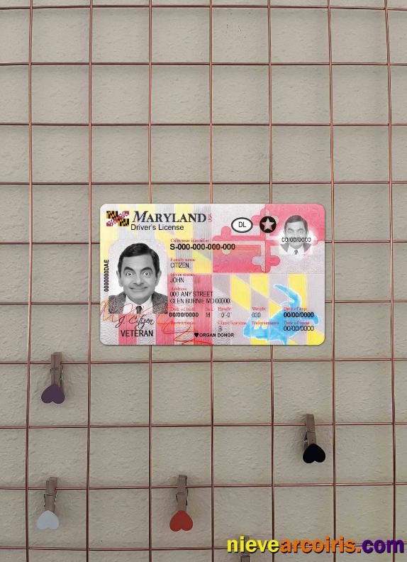 USA Maryland driving license 2016 - present photolook
